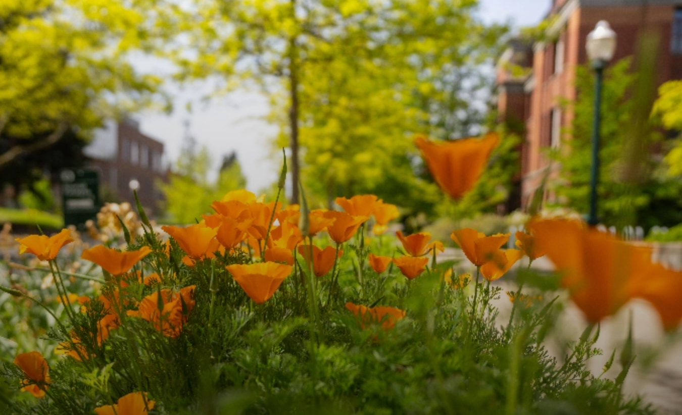 UO Campus Beauty